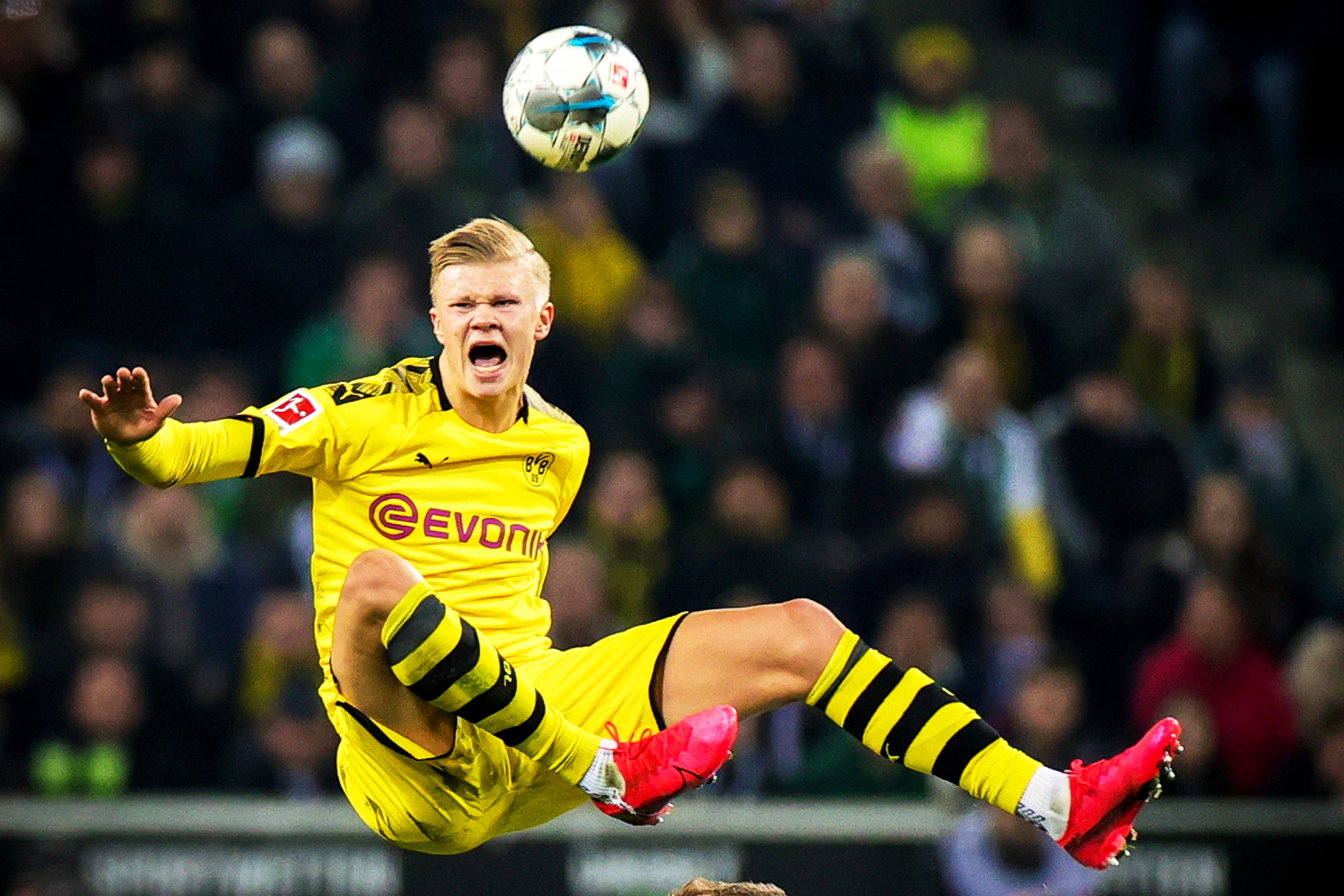 波兰科再见安打助水手晋级美联冠军赛（波兰科再见安打绝杀，水手挺进美联冠军赛）